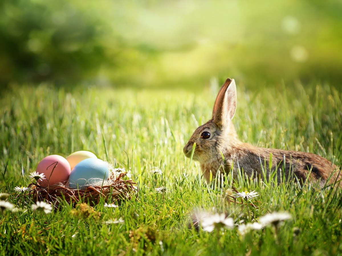 Easter, Passover, and Other Spring&nbsp;Observances